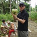 엘 농장 이미지