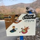 지만농장 | 경상도 눈구경 경주 국민힐링파크 눈썰매 솔직후기