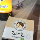오늘타코야 이미지