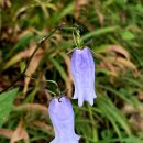 나의 첫 대청봉 그리고 설악 (26.9.11~12) 이미지