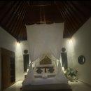 🌿 발리 뜨갈랄랑 가성비 Tirtha Dawa Villa 후기