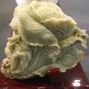 도마초등학교 이미지