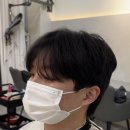 모델헤어타운