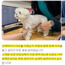 삼양동물병원 이미지