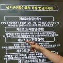 Re: 유치원생활기록부 구조화 자료 이미지