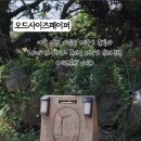 오드사이즈페이퍼