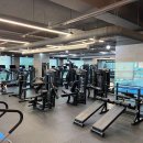 MJ 스포랜드 이미지