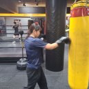 역동복싱 이미지