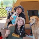 오수의견 국민여가캠핑장 이미지