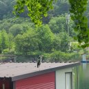 수곡낚시터(어은저수지) 이미지