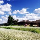 배드민턴경기장 옆 이미지