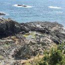 주상절리W 이미지