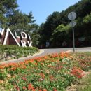 (주)소노호텔앤리조트(홍천)
