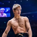 코타강쥐 이미지