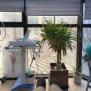 윤스피부과의원 | 피부과 시술 브이빔(VBeam) 레이저 1회차 후기