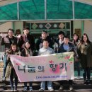 고성보리수 이미지