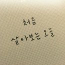 엠투헤어 네이버블로그