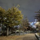 청계중앙공원 1 이미지