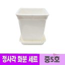 웰빙박스 쇼핑하우
