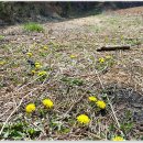 아라메길(4) 이미지