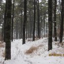 대암산 등산로 입구 이미지