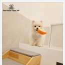 강아지 친구 이미지