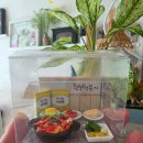 점토와 목재DIY 미니어처 네이버블로그