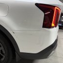 향산유원지 | 성수 쏘렌트 사고 후 테슬라 사고대차 후기