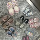 꼬마동네세탁 | 6살 아이 신발 고민 끝! 직접 8켤레 신겨본 솔직 후기