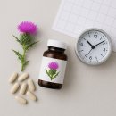 한국에너시스 | 밀크씨슬 효과 언제부터? 실제 복용법 완벽정리