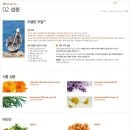 유한회사 다재 | [여우야/유한양행] 100인이 추천하는 피부손상 개선오일 바이오-오일&lt;Bio-Oil&gt; 사용후기