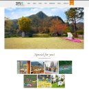 꿈꾸는강 이미지