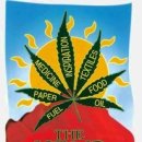 MIN Revolution 이미지