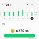 한낮의햇살 이미지