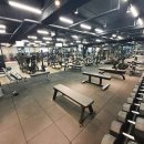 단디 휘트니스 영남대점 이미지