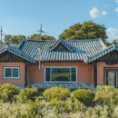 비안단테 이미지