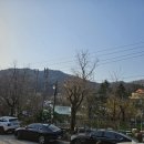 차량골농원 티스토리
