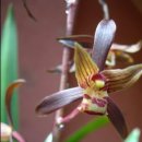 꽃보다 보세 이미지