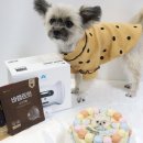 쁘띠시앙 이미지