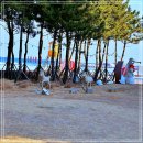 풍성한횟집 이미지