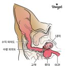 이도메디컬 이미지