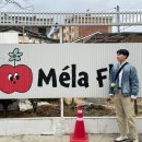 밀라플라 | 영주 카페 밀라플라 후기