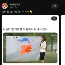 📸 일상 포토덤프 | 6월 마지막주 시애틀 일상 기록