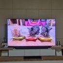 승민농장 | 임신 33주, 아기 손수건 빨래 시작, 젖병 고민, 육아용품 당근🥕