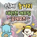 인제 내린천 래프팅 곰레포츠, 단체 액티비티 추천, 주차 및 솔직 후기