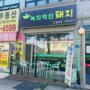 녹차먹인돼지 이미지