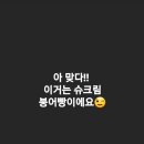 오뎅먹는붕어빵 이미지