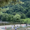 포레스트 월악 이미지