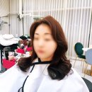 머리하기좋은날미용실 | 세종 미용실 추천 ♡ 머리하기 좋은 날 ♡ 세종 포유헤어