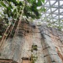 황금이식물원 | [경남 거제] 다양한 볼거리가 가득한 거제 식물원 &amp; 거제 정글돔